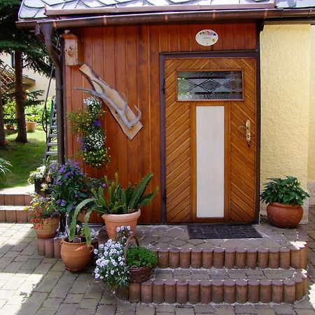 Ferienhaus Erzgebirge "An Der Trebe" Mit Kamin Und Sauna Neuhausen  Cameră foto