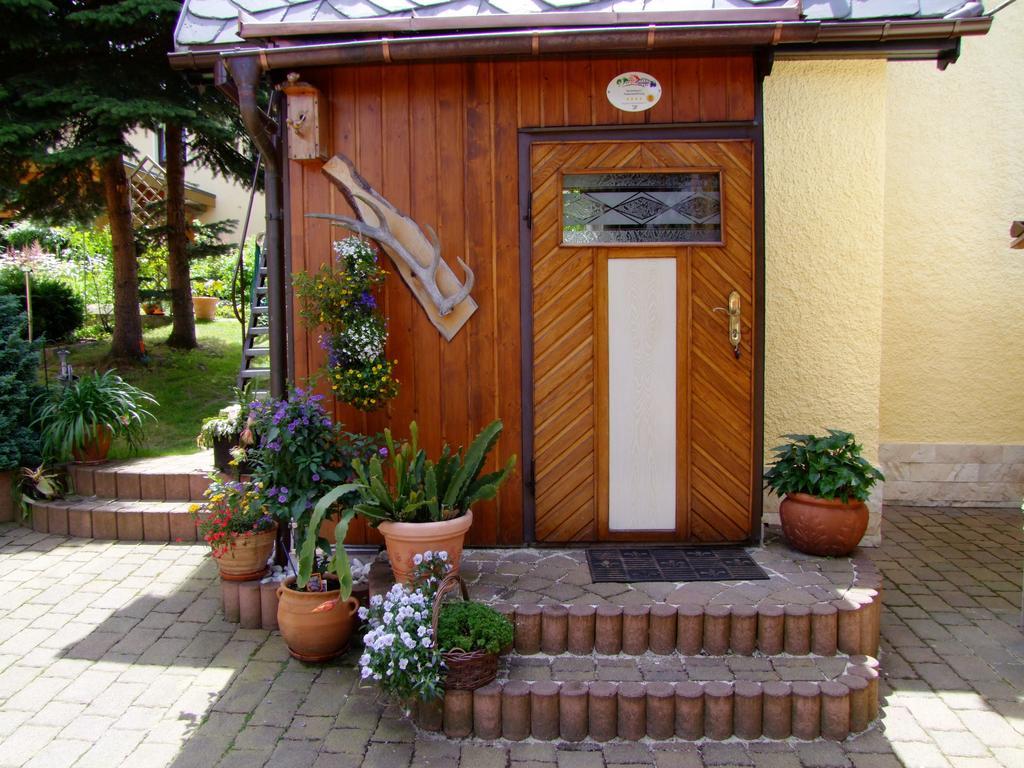 Ferienhaus Erzgebirge "An Der Trebe" Mit Kamin Und Sauna Neuhausen  Cameră foto